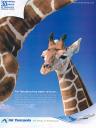 Air Tanzania Ad