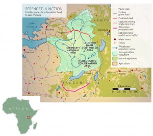 Map of the possible Serengeti Highway routes (courtesy Nature)