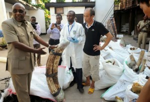 Prior to his resignation, Natural Resources and Tourism minister, Ambassador Khamis Kagasheki, inspects tusks impounded at a Mikocheni house (DSM) 